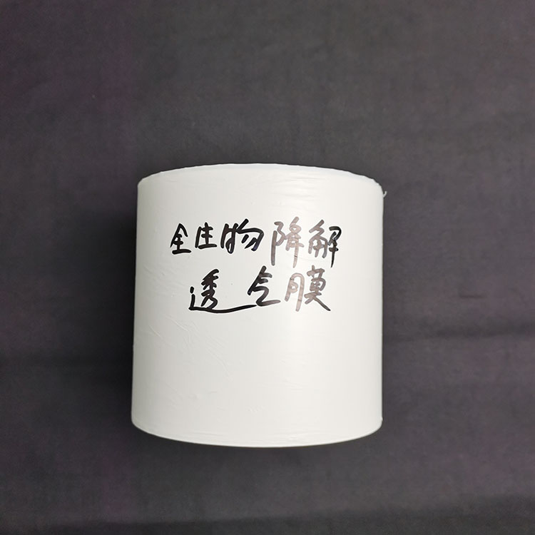 東莞環(huán)保膠袋生產(chǎn)廠家